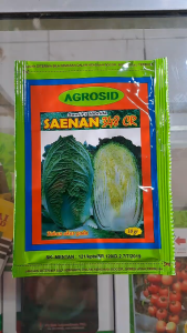 BENIH SAWI SAENAN F1 HIBRIDA 348 CR // SAWI PUTIH SAENAN