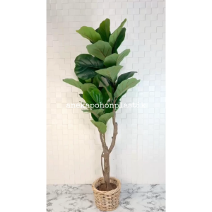 Pohon Artifcial Tanaman Hias Daun Ketapang X3 T150 Latex Artificial Cover Pot Keranjang Rotan Small Hiasan Dekorasi Ruangan Aesthetic