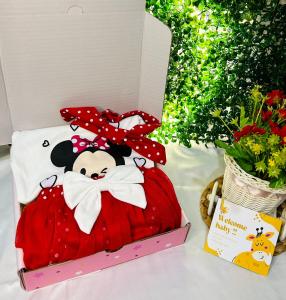 KADO ANAK | BAYI KADO SETELAN MICKEY DENGAN BOX