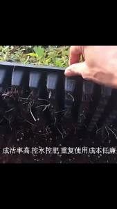 Nexlent Seedling Tray 50/72/105 Holes Garden Trays Strength Seed Germination Plant Flower
