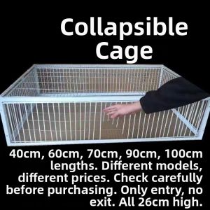 ZHIZHILIANYU | Large Automatic Catching Pigeon Trap