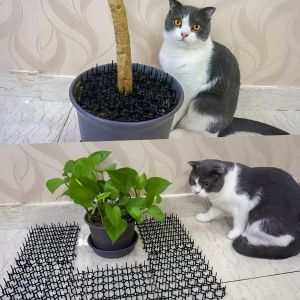 5PCS Plastic Cat Repellent Mat Anti Climb Fence Spike Scat No Hurt To Pets Anti Cat Dog Mat