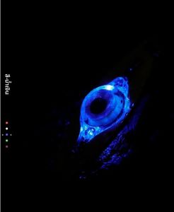 เหยื่อล่อปลาแอลอีดีแบบหมุนได้ช้อนตกปลาทรงหยดน้ำลึกอุปกรณ์เหยื่อล่อปลาอุปกรณ์เสริมสำหรับตกปลาใต้น้ำ