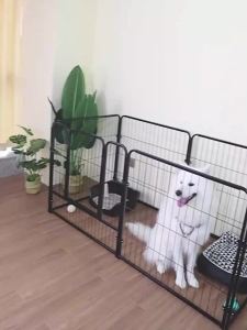 🎪กรงหมาพับได้ กรงสุนัข กรงหมา กรงสัตว์เลี้ยง กรงแมว ติดตั้งง่าย แข็งแรง ทนทาน ท่อเหล็กเสริม 6 ซม ทนต่อการกัด นอนสบาย คอกหมา