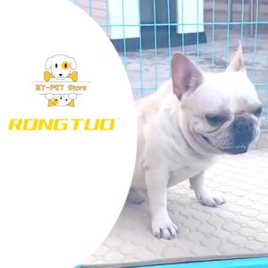 【COD】Pet Urine Pad Cat Dog Washable Reusable Wee Wee Pad Pee Pad Puppy Kitten Potty Training Absorbent Bed Mat Diaper