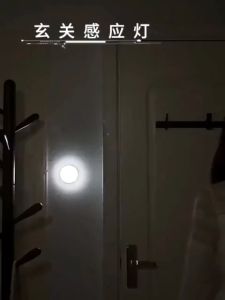 Buy 1 Take 1 Rechargeable Night Wireless Led Induction Sensor Light Bedroom Staircase Wardrobe CR Auto USB TH