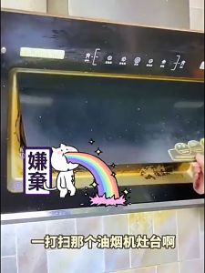 Xịt tẩy dầu mỡ nhà bếp BIKI KITCHEN HOOD DEGREASER 500ML