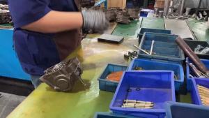 ชุดเกียร์ฝาก 110cc 125cc 150cc ใส่กับเครื่องสูบนอน ใส่3ล้อ เกียร์ฝากไม่มีสโลว เกียรฝากสามล้อ ยอยเกียร์ฝาก เกียร์ถอยหลัง