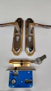 DDAN Elegant Stainless Steel Anti-Theft Door Lock Set with Quiet Operation Lever for Main Door and Bedrooms