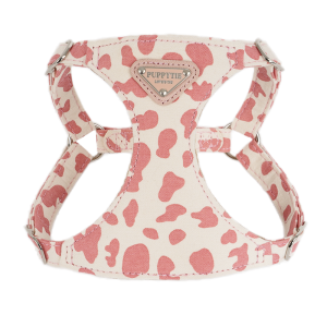 Easy Walk Small Dog Leash & Harness PUPPYTIE