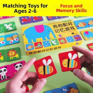 XIAOSHUGUOGUO | Educational Matching Cards for Toddlers