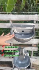 อ่านเทียบกับวัว อัตโนมัติ สแตนเลส แบบดันให้น้ำไหล แถมตัวยึด 2 ชิ้น ราคาที่สูงสุด