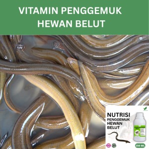 Vitamin Penggemuk Belut Alami 250ml Nafsu Makan Naik Bobot Cepat Bertambah Maksimalkan Penggemukan