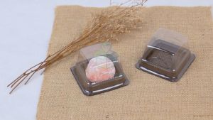 [1 PACK] Mika Mochi Bulat Mika Puding Kotak Mika Kotak Tutup Transparan Tray Mika Mooncake Mika Kue Kotak Mika Kotak Bolu Mini Wadah Mika Mini
