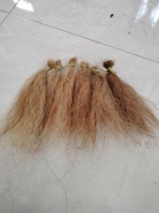 subalan/rambut reog/rambut sapi