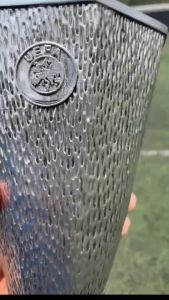 ถ้วยรางวัล Europa Cup V585-586