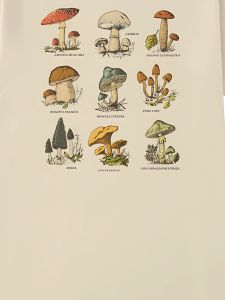 เสื้อยืดคอกลมทรงหลวมแขนสั้นลําลองสไตล์สตรีทคอกลมพิมพ์ลายสําหรับผู้หญิงอายุ 18-35 ปี