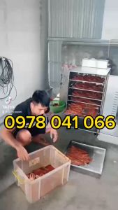 Tủ sấy thực phẩm sấy các loại hạt sấy khô thịt tôm cá tủ 20 khay vuông