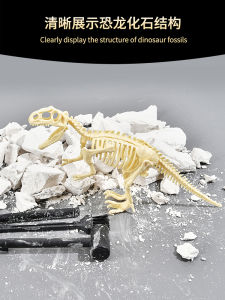 Đồ Chơi Phát Hiện Hóa Thạch Khủng Long Archeological Blind Box DIY Giáo Dục Cho Trẻ Em Từ 6-14 Tuổi Đồ Chơi Động Vật Tĩnh Vật Liệu Nhựa