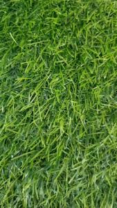 (1 PAK ISI 12PCS)SNOWMAN BALLPOINT BP-7 BIRU