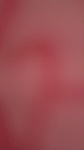 Promo Celana dalam wanita polyester termurah dengan produk lokal motif bunga banyak warna [3/6/12 Pcs] Celana Dalam Wanita Jinyuaner J037