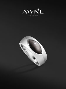 Cool Simple Stylish Silver Obsidian Ring