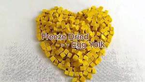 Dry Eggfood for birds parrot cockatiel parakeet lovebirds
