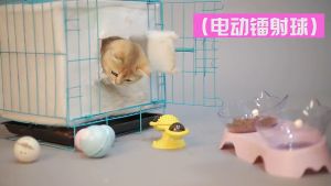 Mainan kucing peliharaan USB isi ulang listrik otomatis self-hi menggoda mainan kucing bola LED laser menggoda mainan plastik kucing
