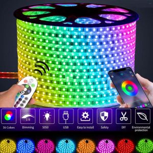 【รับประกัน1ปี】5/10/15/20/30 เมตรในร่ม/กลางแจ้งกันน้ำ LED RGB Strip Light เปลี่ยนสี SMD 5050 ไฟยืดหยุ่นพร้อมรีโมทและอะแดปเตอร์ครบชุด สำหรับห้องที่เชื่อมต่อได้ ไฟเทปใน.