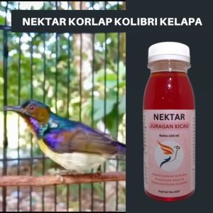 Nektar Korlap Kolibri Kelapa Manggar Juragan Kicau Pakan Penggacor Harian Dosis Tinggi Biar Gacor