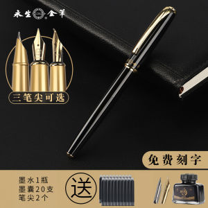 Everlasting Pen 3409 Business Use Calligraphy Practice Steel Nib Replacements Erasable Fountain Pen for Office Gifts