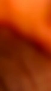 (SMB06)KAOS MAJELIS SYEKHERMANIA\"SANTRI RAJIN\"LENGAN PANJANG UKURAN ANAK DAN DEWASA\"FREE STIKER\"