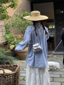 Silver Chain Crossbody Bag Luxury Designed Womans Saddlebag Soft Korean Style Fashion 2024 Spring New Fashion Handbag