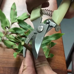 Kéo Cắt Cành Lưỡi Cong Cán Trắng CHiều Dài 175mm Chuyên Dùng Cắt Tỉa Tạo Hình Cây Cảnh Bon Sai Chăm Sóc Vườn Tược