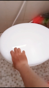 Tutup closet duduk universal TOTO/AMERICAN STANDARD/ICEPOL WHITE Bahan Plastik Berkualitas Desain Pola Tekstur Warna Maroon Pink Biru Hijau Aksesori Toilet Ramah Lingkungan - Lazada