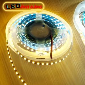 Cuộn LED dây dán 12V / 5m -120 LED Màu Trắng - Vàng - Trung tính
