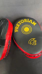 [HCM]{Đích đỡ Tay Gấu}  Đích Đấm võ thuật Pretorian ailaikit Vovinam Teakwondo Boxing (1 cặp)