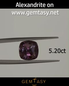 พลอย - สร้างห้องแล็บ อเล็กซานไดรต์ Czochralski เหลี่ยม Cushion 9x9 มม. 5.2 กะรัต