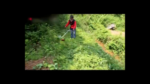 REAIM 4 Stroke Grass Cutter 2 Stroke / 4 Stroke Gasoline Lawn Mower 52CC Portable Trimmer Garden Tool Brush Grass Trimme