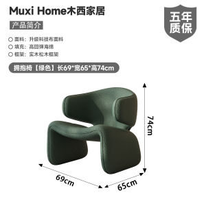 Modern Simplicity Luxury Sofa Chair Minimalist Living Room Hotel Beauty Salon Reception Single Chair Internet Famous
