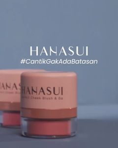 Hanasui Perfect Cheek Blush & Go Powder Blush On