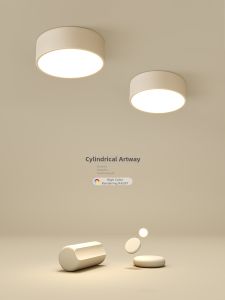 Minimalist Small LED Ceiling Light