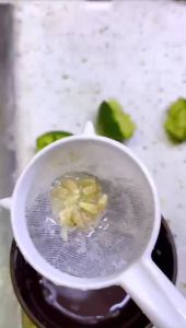 Dụng cụ rây lọc hạt chanh lưới nhựa không gỉ