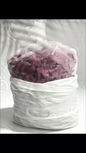 biovista racun tikus antikus 5kg / RACUN TIKUS / 老鼠药