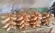 LAPAK GULA