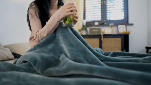 Home and Hotel Plain Microfiber Blanket Hypoallergenic 150x200cm Soft Home Living Bedding and Hotel Blanket Quality