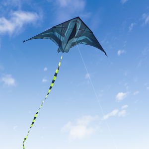 Yongjian 2m เครื่องบิน Kite Delta Kite เหมาะสําหรับการตั้งแคมป์กลางแจ้งพร้อมว่าวสําหรับผู้ใหญ่ขนาดใหญ่กิจกรรมตั้งแคมป์ชายหาด