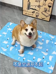 Pet Cooling Mat Bite Resistant Dog Cooling Bed Ice Pad Breathable Washable Summer for Dogs Cats Upgraded