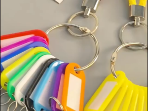 10/20 Bit Key Tags Organizer Ring Lanyard Key Labels Keyring Key Management Ring