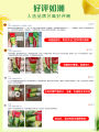 Colgate Natural Lemon Flavor Toothpaste Whitening Teeth Fresh Breath Family Pack Anti-Cavity Gum Protection Oral Care. 